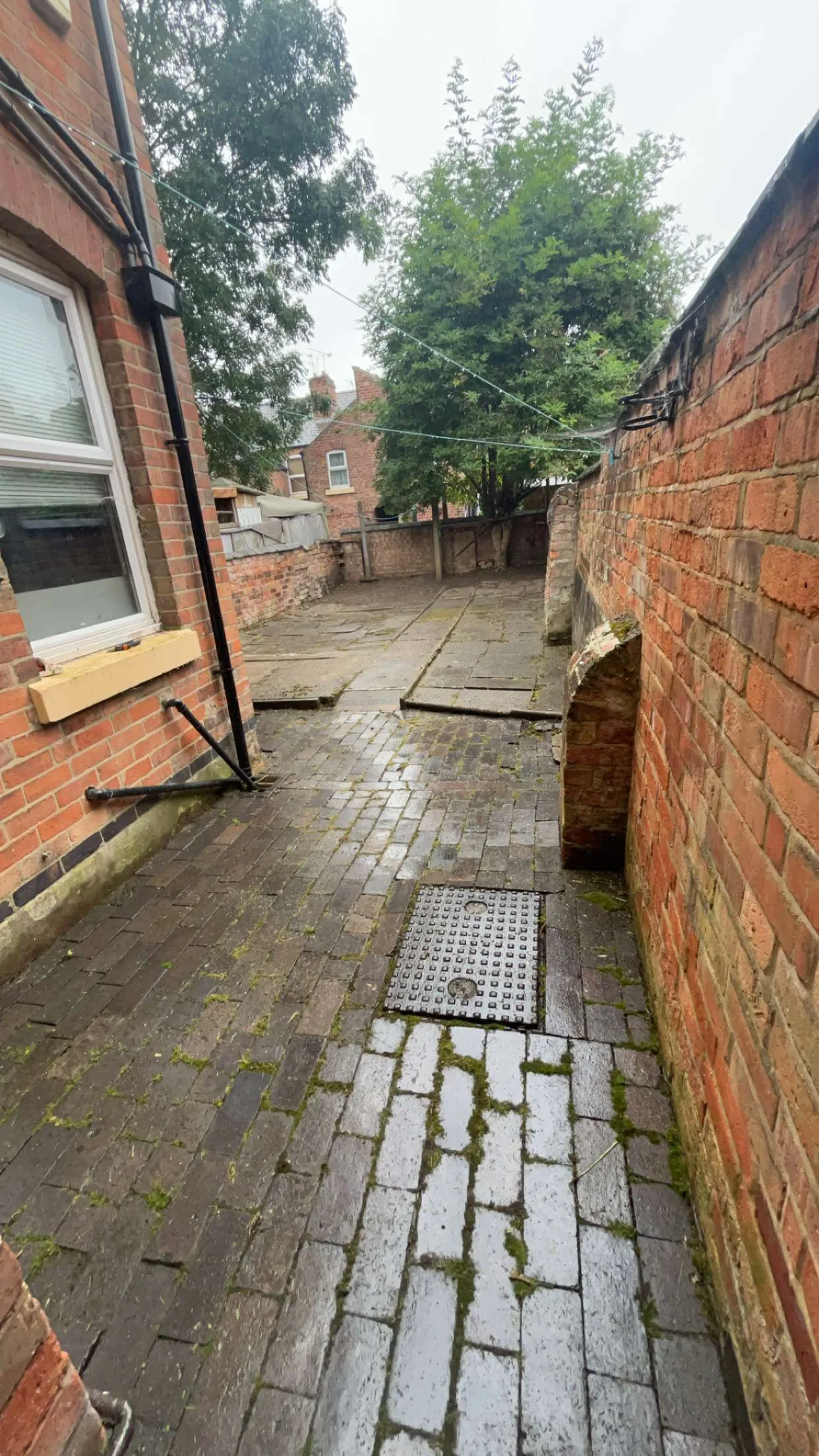 After - Garden Maintenance