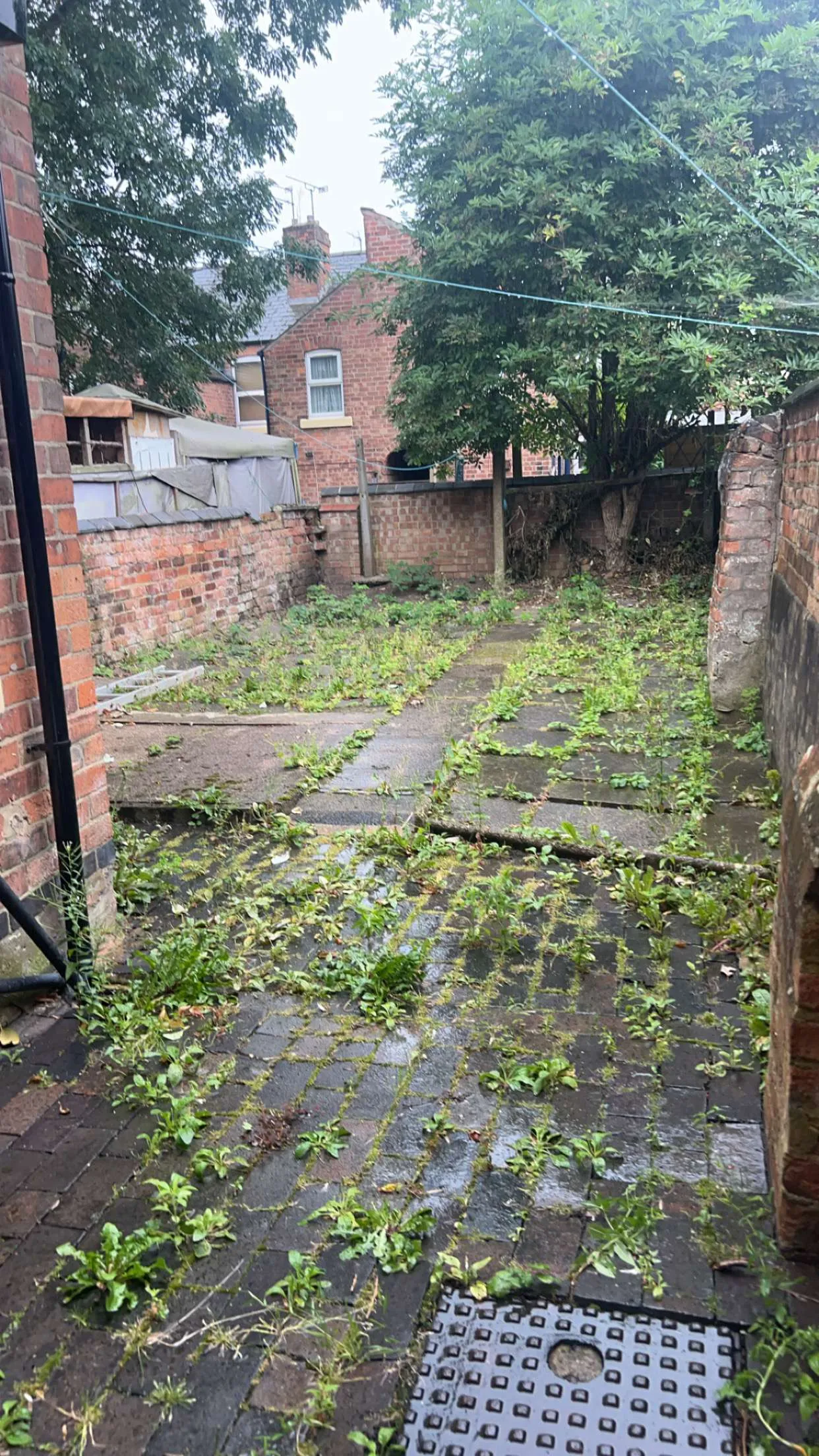 Before - Garden Maintenance