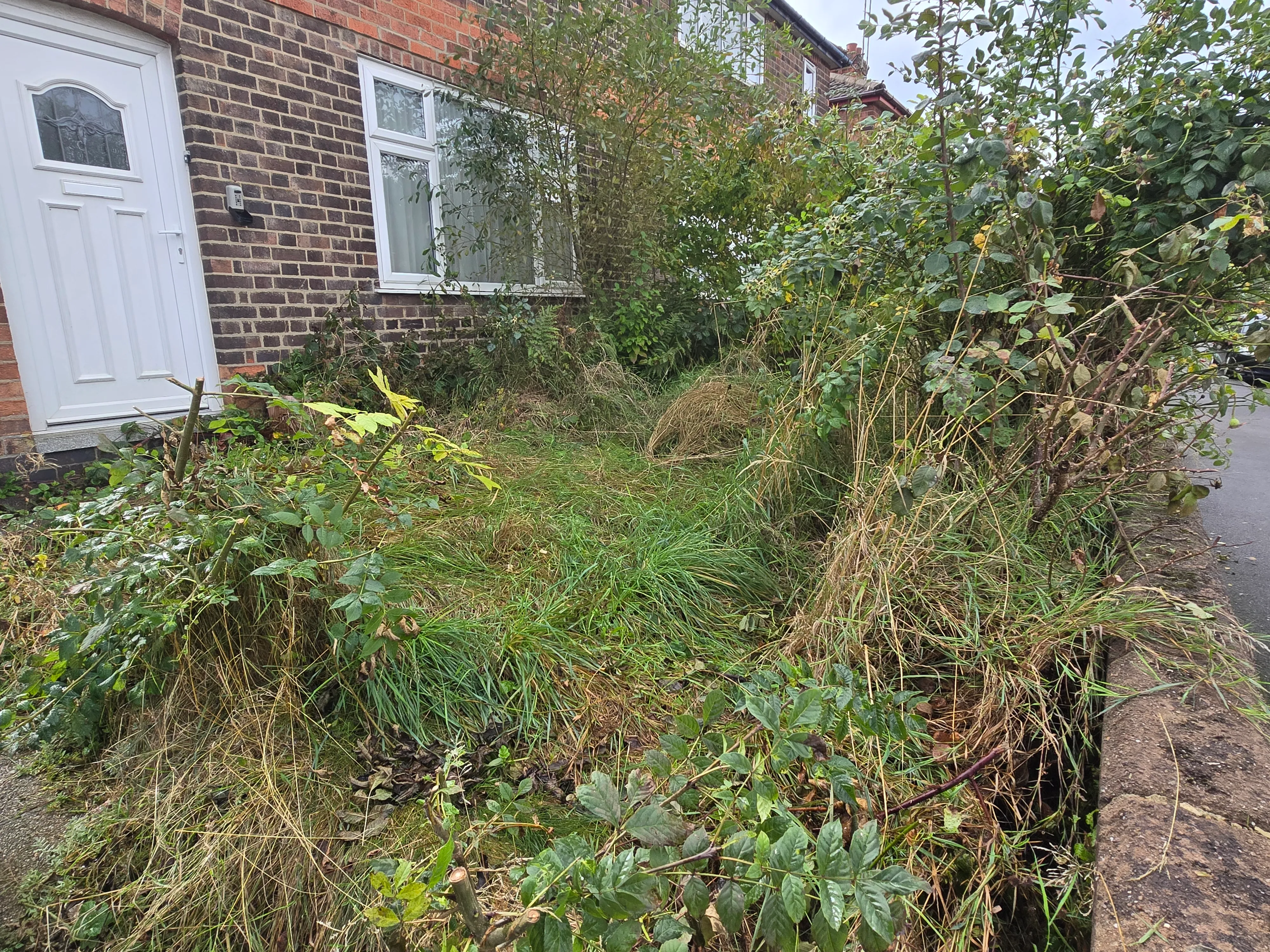 Before - Garden Maintenance