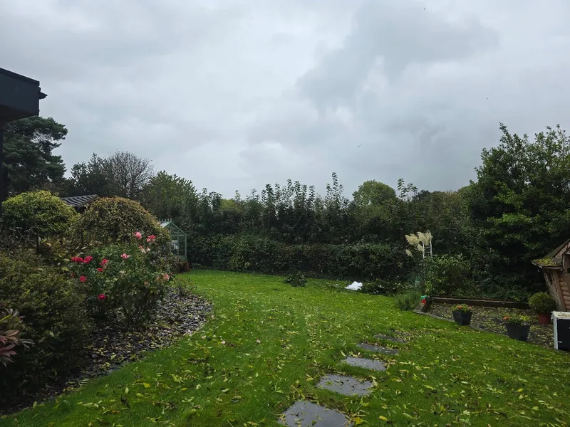 Perfectly maintained garden and lawn